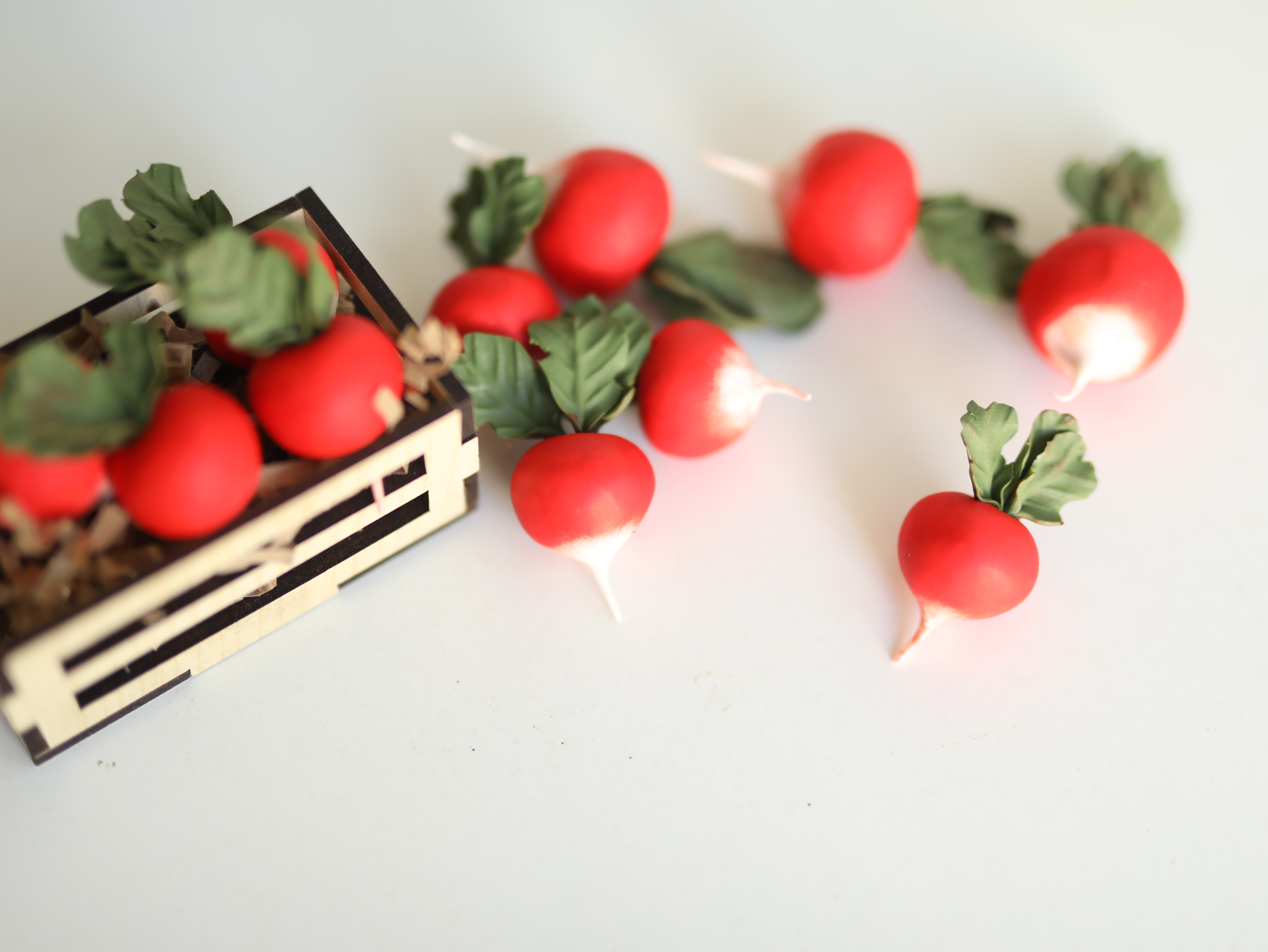 Kullanım Talimatları