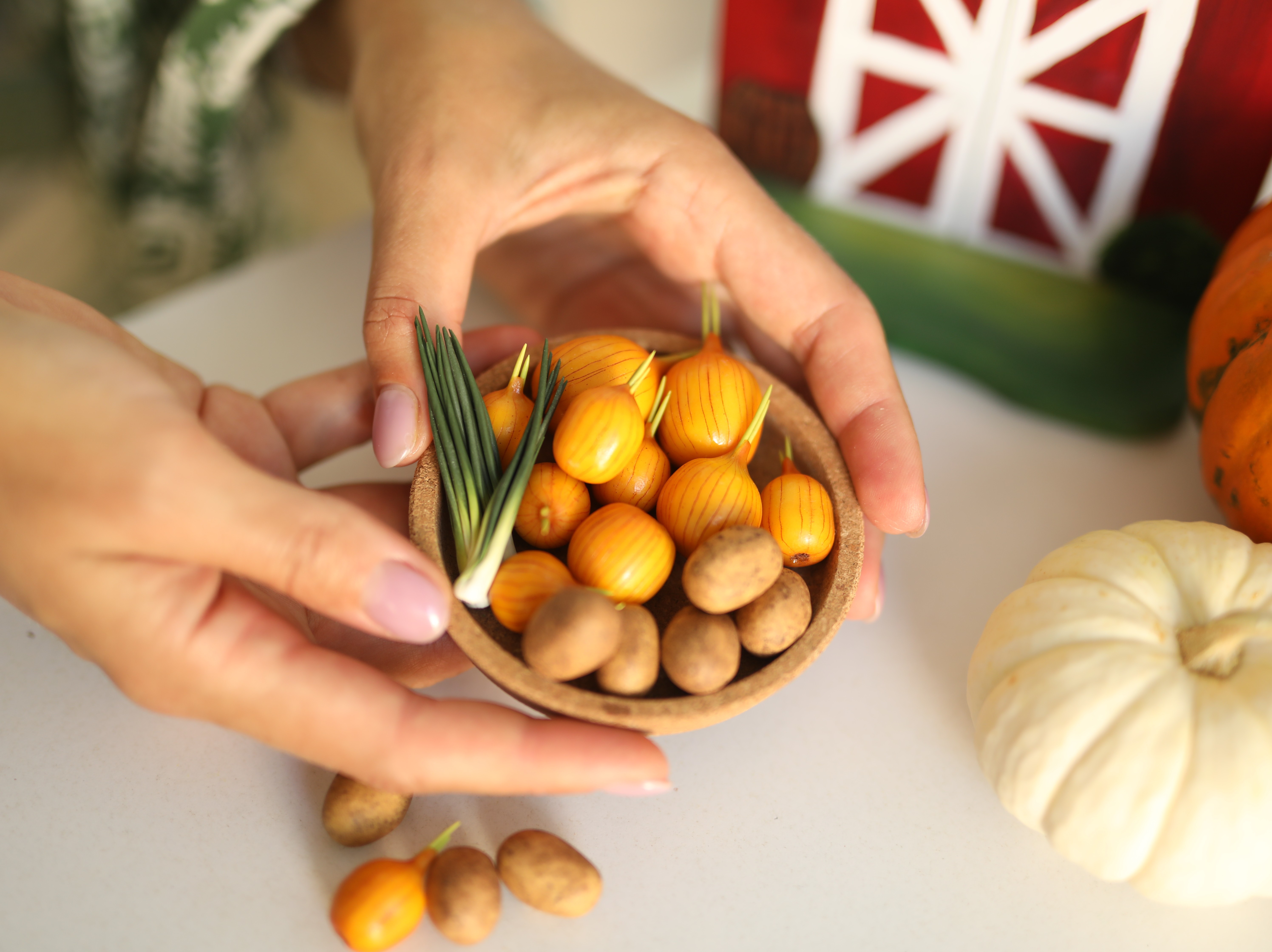 Minyatür Boyutları